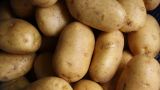 Дефицит картофеля в России спровоцировал рост цен в 2,8 раза